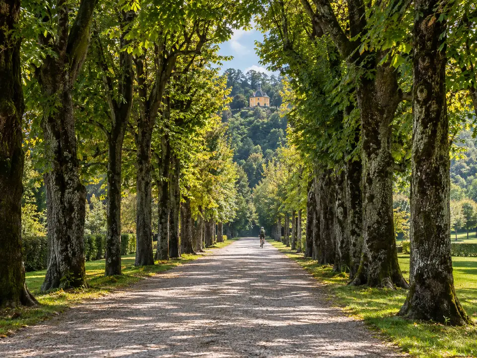 The park at Hellbrunn with the tree-lined Hellbrunner Allee